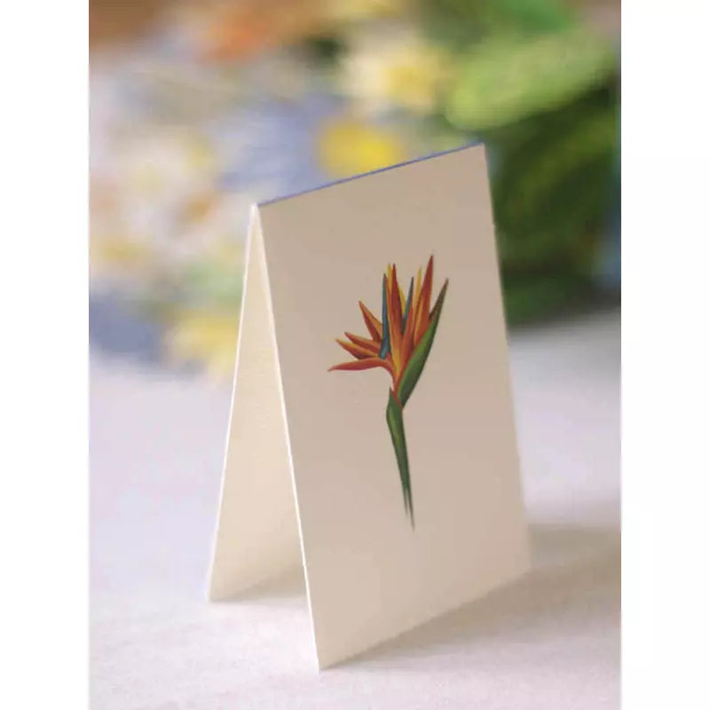 3D Greeting Card | Tropical Bloom